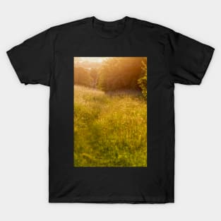 Golden meadow afternoon T-Shirt